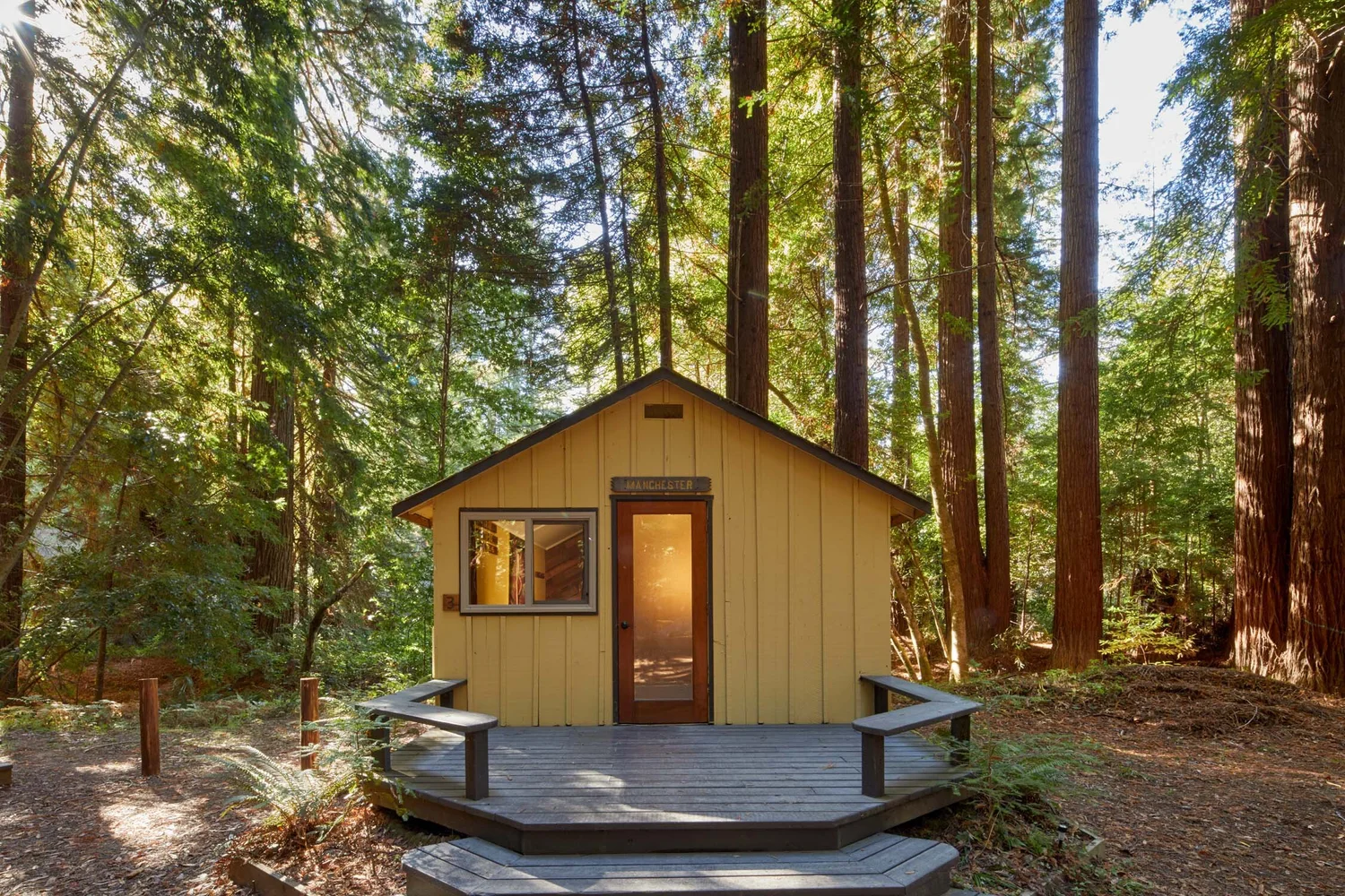 Cabin among the redwoods