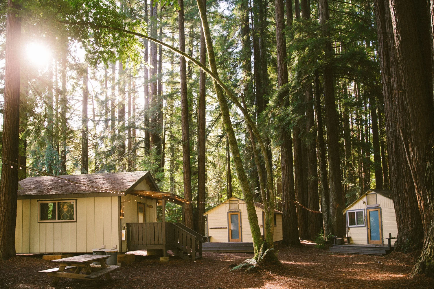 Cluster of cabins at Camp Navarro