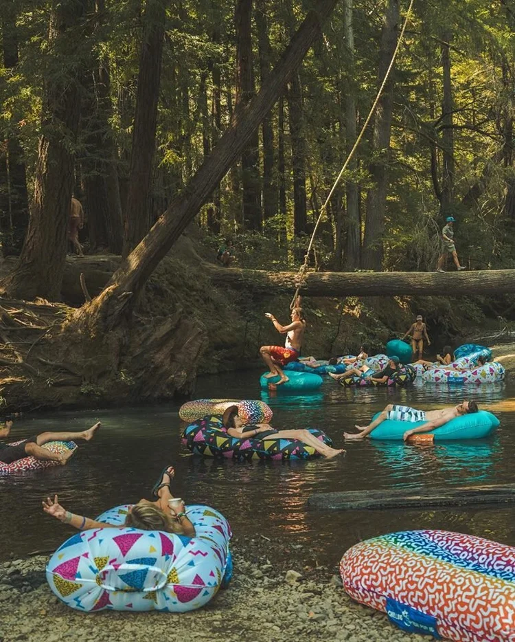 Rope swing at Camp Navarro
